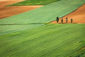 Land in Pererenan
